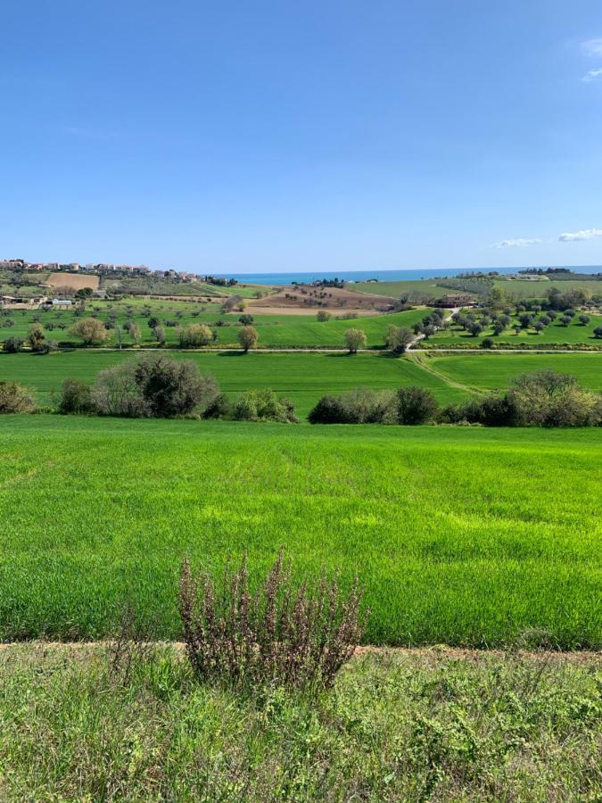 Ferienwohnung Tra Gli Olivi E La Riviera Del Conero Numana Exterior foto