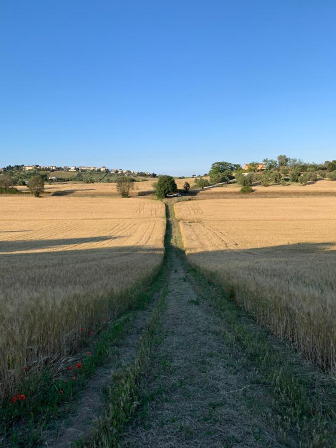 Ferienwohnung Tra Gli Olivi E La Riviera Del Conero Numana Exterior foto